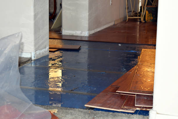 Professional Flood Cleanup technician working in Athens, NY